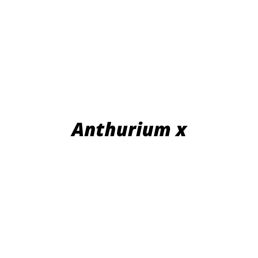 pronounce anthurium Anthurium mystery seedling!
